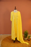 Sunlit Zari Chikankari Set