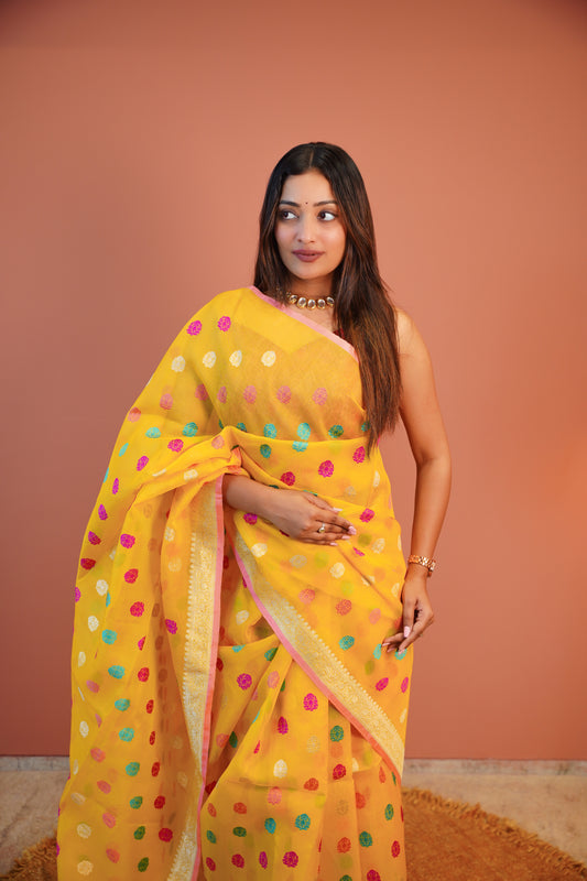 Phoolrang Organza Saree