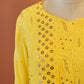 Sunlit Zari Chikankari Set