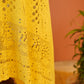 Sunlit Zari Chikankari Set