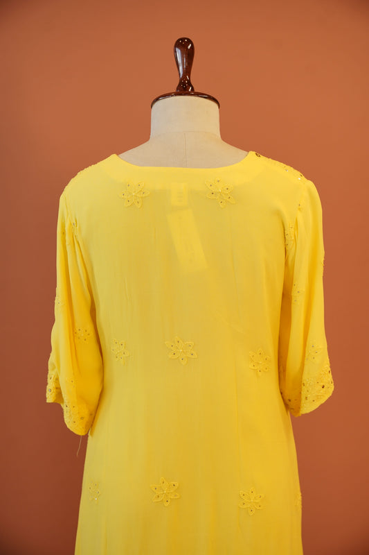 Sunlit Zari Chikankari Set