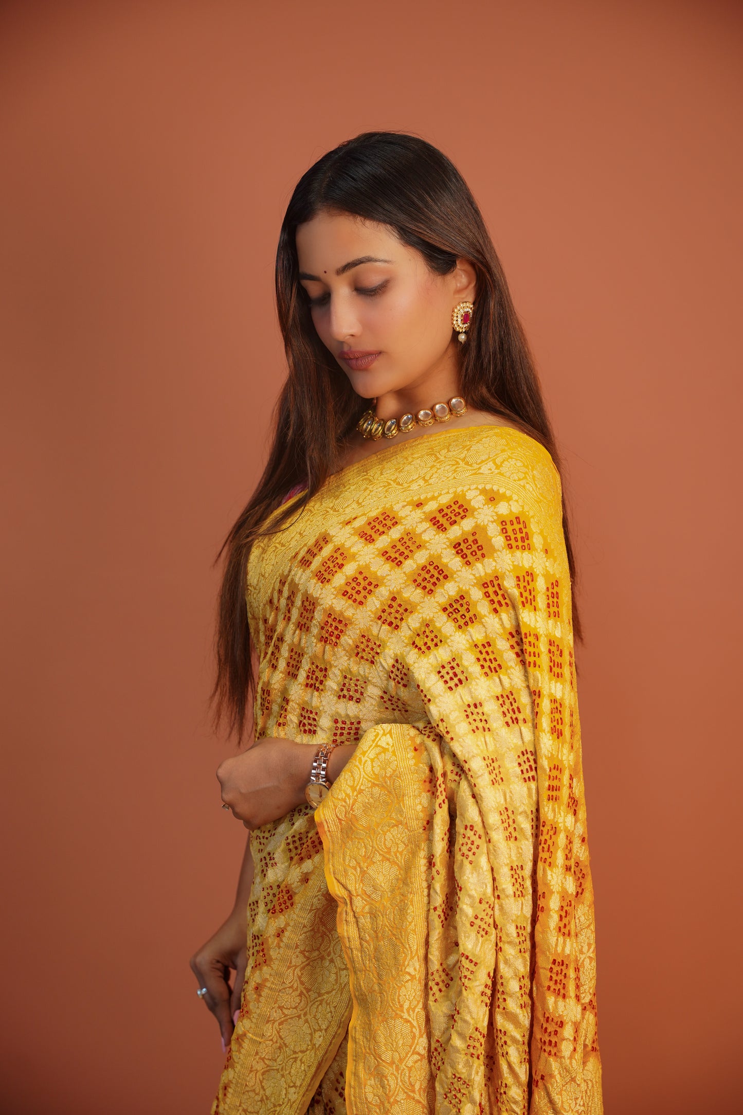 Surya Jaal Banarasi Saree