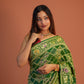 Panna Banarasi Bandhej Saree