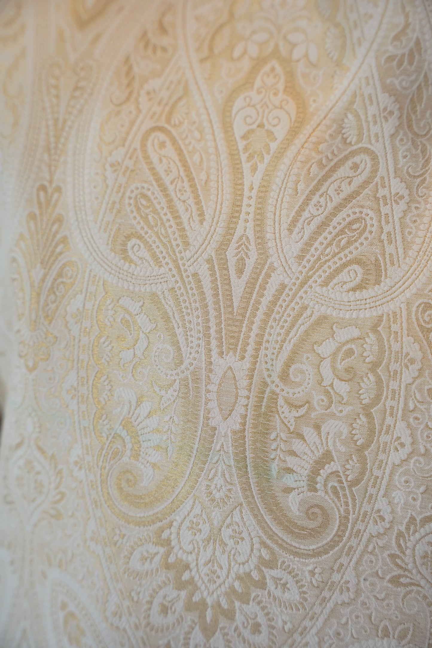 Ivory Royale Banarasi Jodhpuri