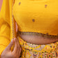 Surajmukhi Noor Lehenga