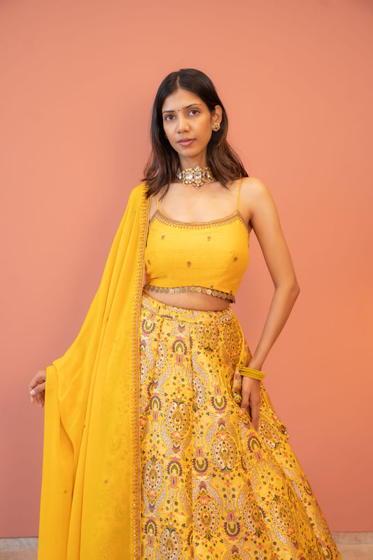 Surajmukhi Noor Lehenga