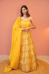 Surajmukhi Noor Lehenga