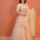 Noor-e-Phool Lehenga